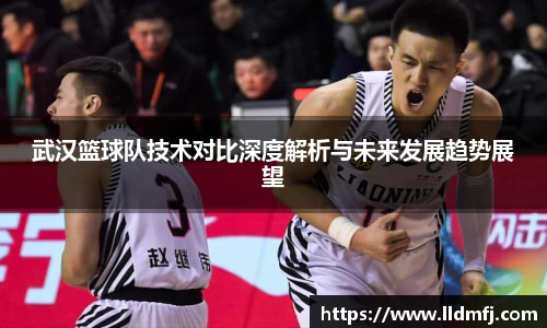 武汉篮球队技术对比深度解析与未来发展趋势展望